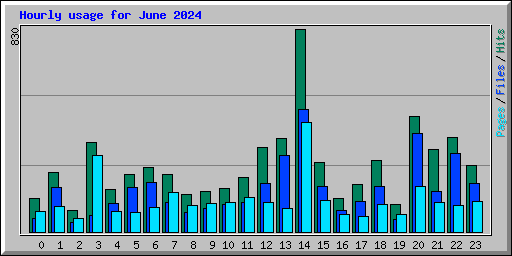 Hourly usage for June 2024