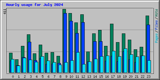 Hourly usage for July 2024