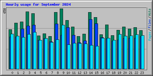 Hourly usage for September 2024