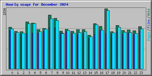 Hourly usage for December 2024