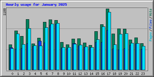 Hourly usage for January 2025