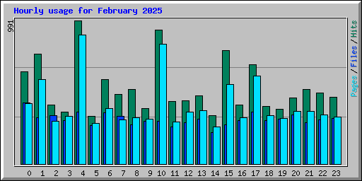 Hourly usage for February 2025