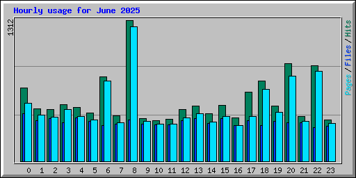 Hourly usage for June 2025