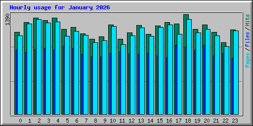 Hourly usage for January 2026