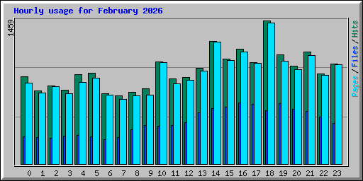 Hourly usage for February 2026