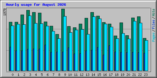 Hourly usage for August 2026