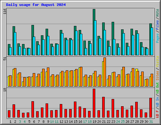 Daily usage for August 2024