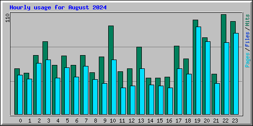 Hourly usage for August 2024