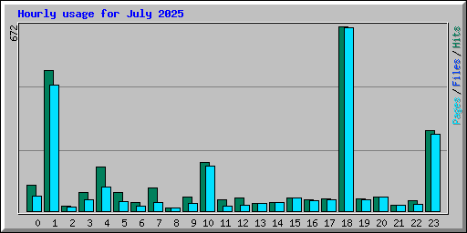 Hourly usage for July 2025