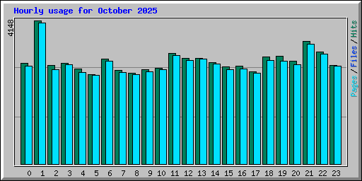 Hourly usage for October 2025