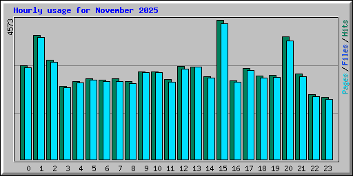Hourly usage for November 2025