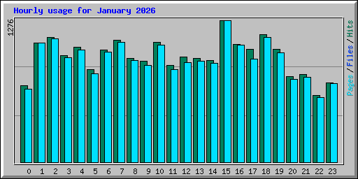 Hourly usage for January 2026